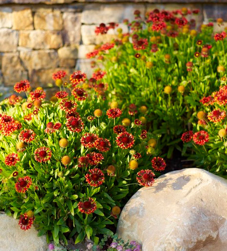 Artificial flower rockery