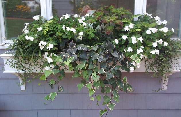Artificial flowers in a window box