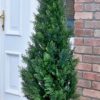 Artificial 5ft cedar pine cypress conifer tree - Image 3