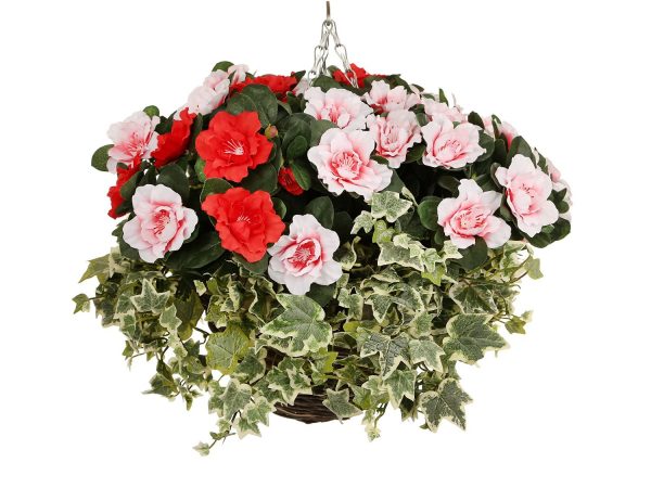 Red and pink azalea hanging basket
