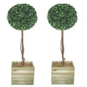 Topiary ball trees