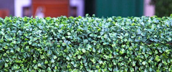 Artificial hedging