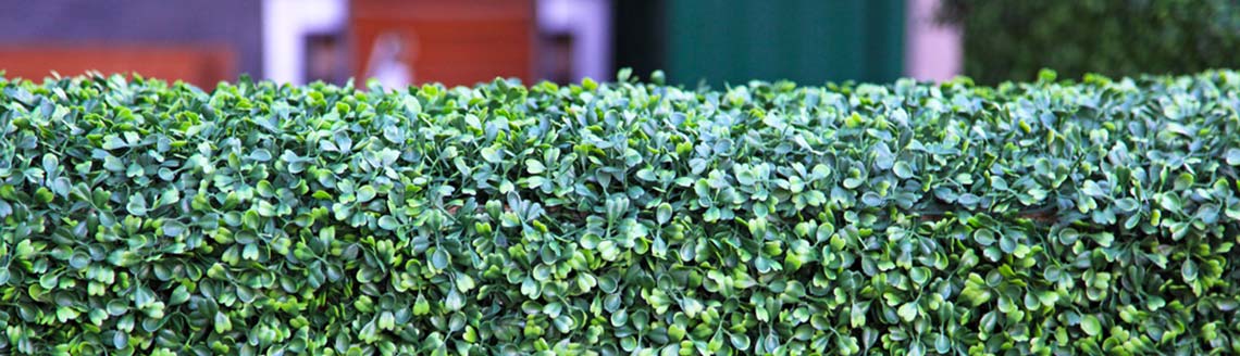 7 reasons to choose an artificial hedge