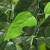 Artificial ivy hedge