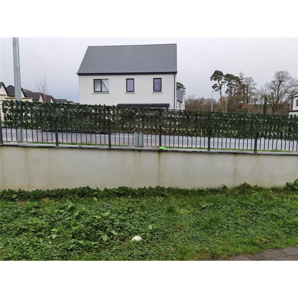Customer photograph of Welsh Green Screen ivy screening fitted along metal railings
