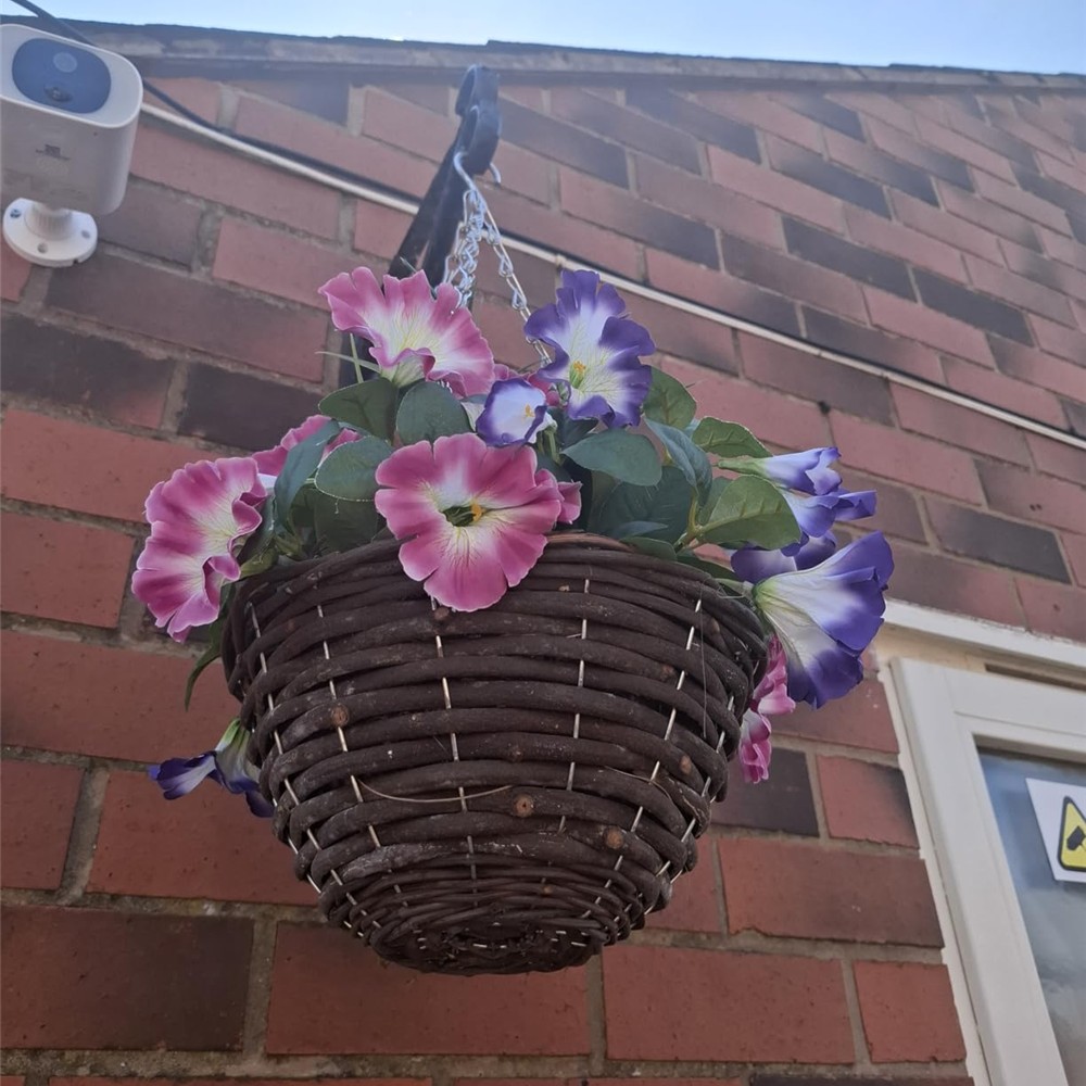 Customer photo of GreenBrokers petunia basket in the pink and purple colour option