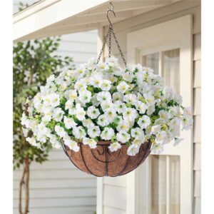 HyeFlora white morning glory and eucalyptus in a coir-lined hanging basket
