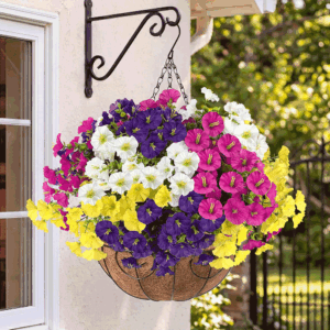 Beautiful multicolour hanging basket