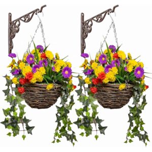 Pair of Primrose wildflower hanging baskets with yellow, purple and red flowers and trailing ivy