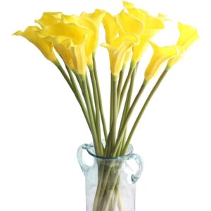 Yellow real touch calla lily flowers on long green stems in a glass vase