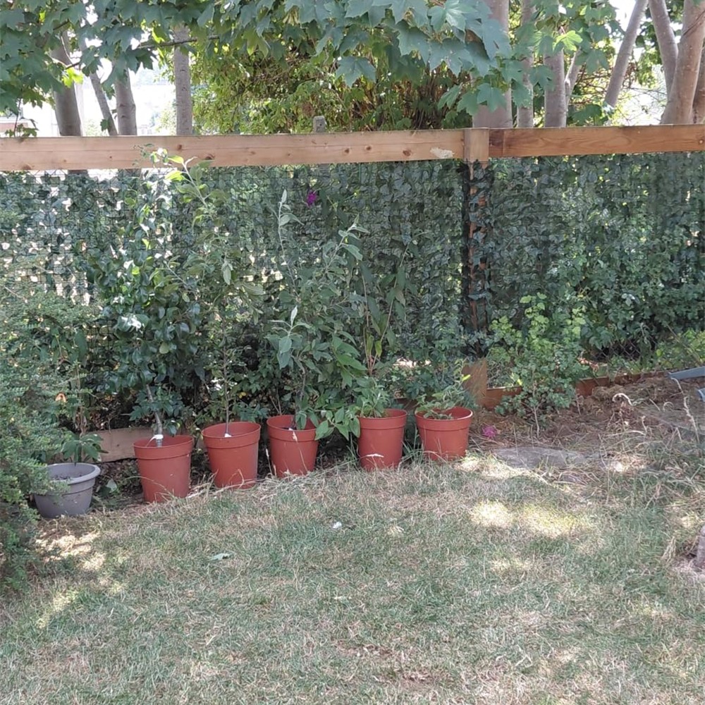 Hobubu ivy screening installed along a wooden garden boundary behind pots
