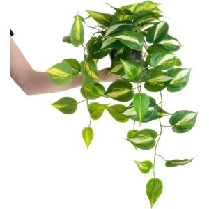 Blooming Artificial trailing pothos in a pot (70cm)