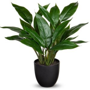 briful artificial calathea in a black pot (43cm)