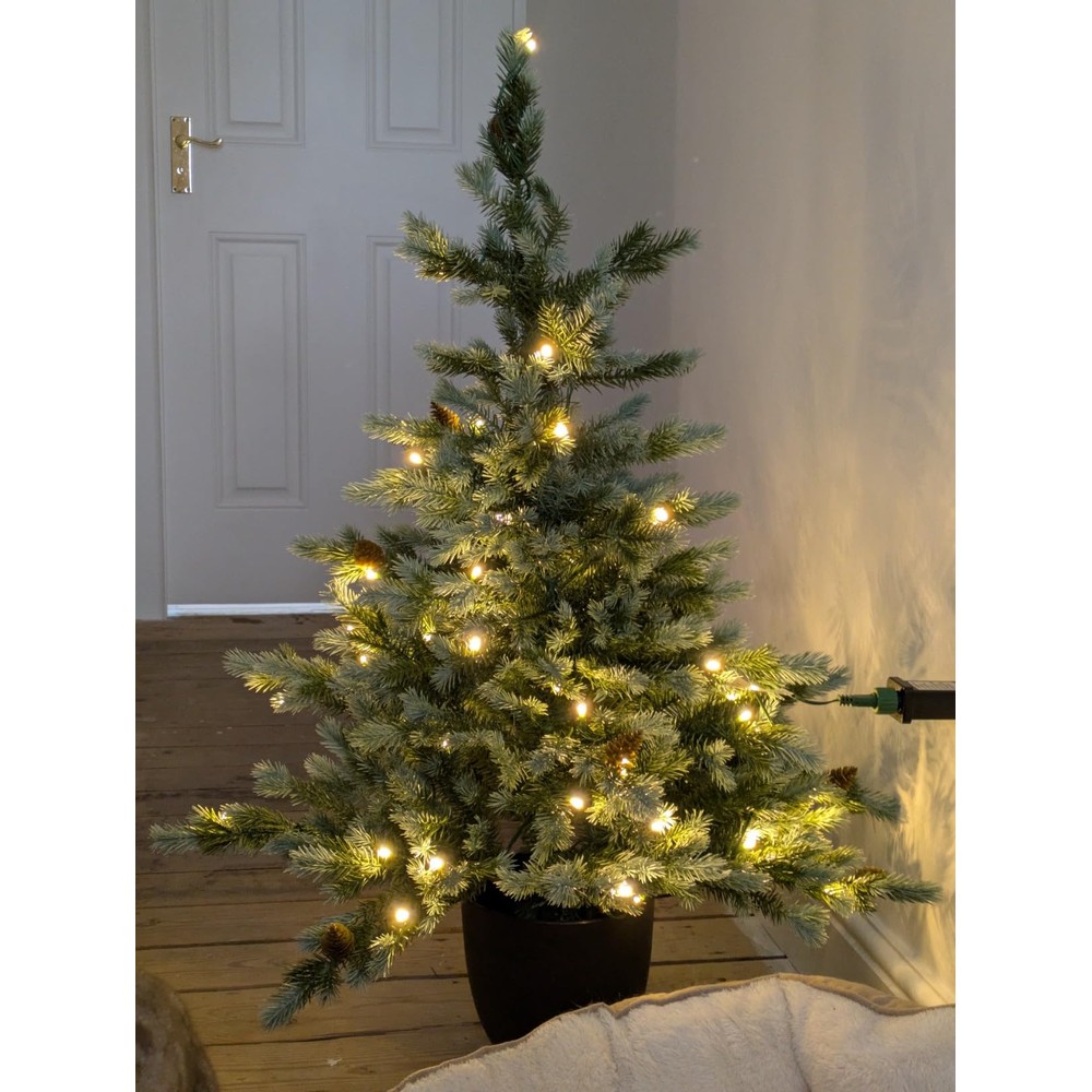 Customer display: Cairngorm pine outdoor Christmas tree with warm white lights (3ft)