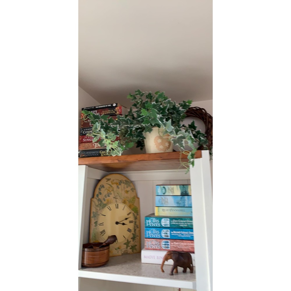 Customer display of closer2Nature artificial variegated ivy plug plant (57cm)
