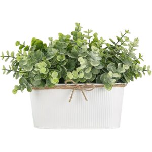 Dahey artificial eucalyptus in a white metal trough (18cm)
