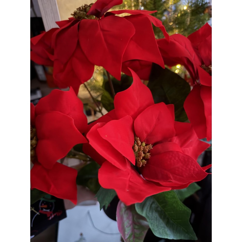 Customer display: GreenBrokers red artificial poinsettia in a pot (46cm)