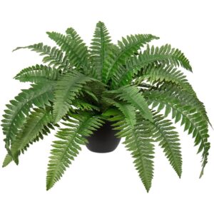 hollyone artificial Boston fern in a black pot (60cm spread)