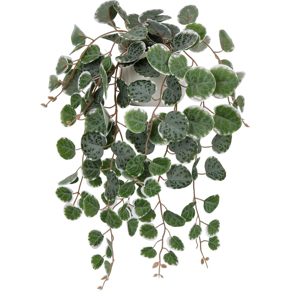 hollyone artificial string-of-hearts plant in a white ceramic pot (43cm)