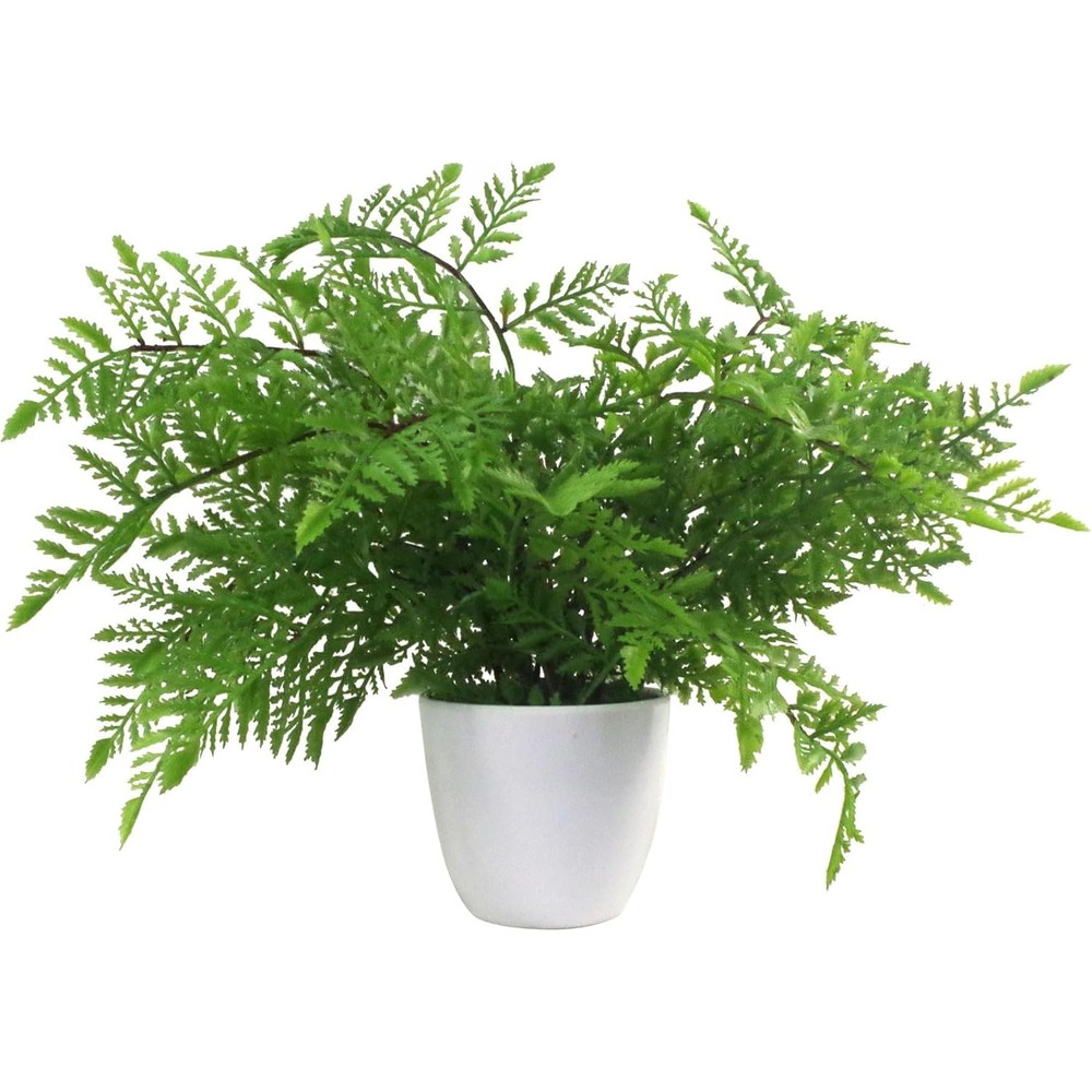 leaf artificial southern wood fern in a white pot (30cm)