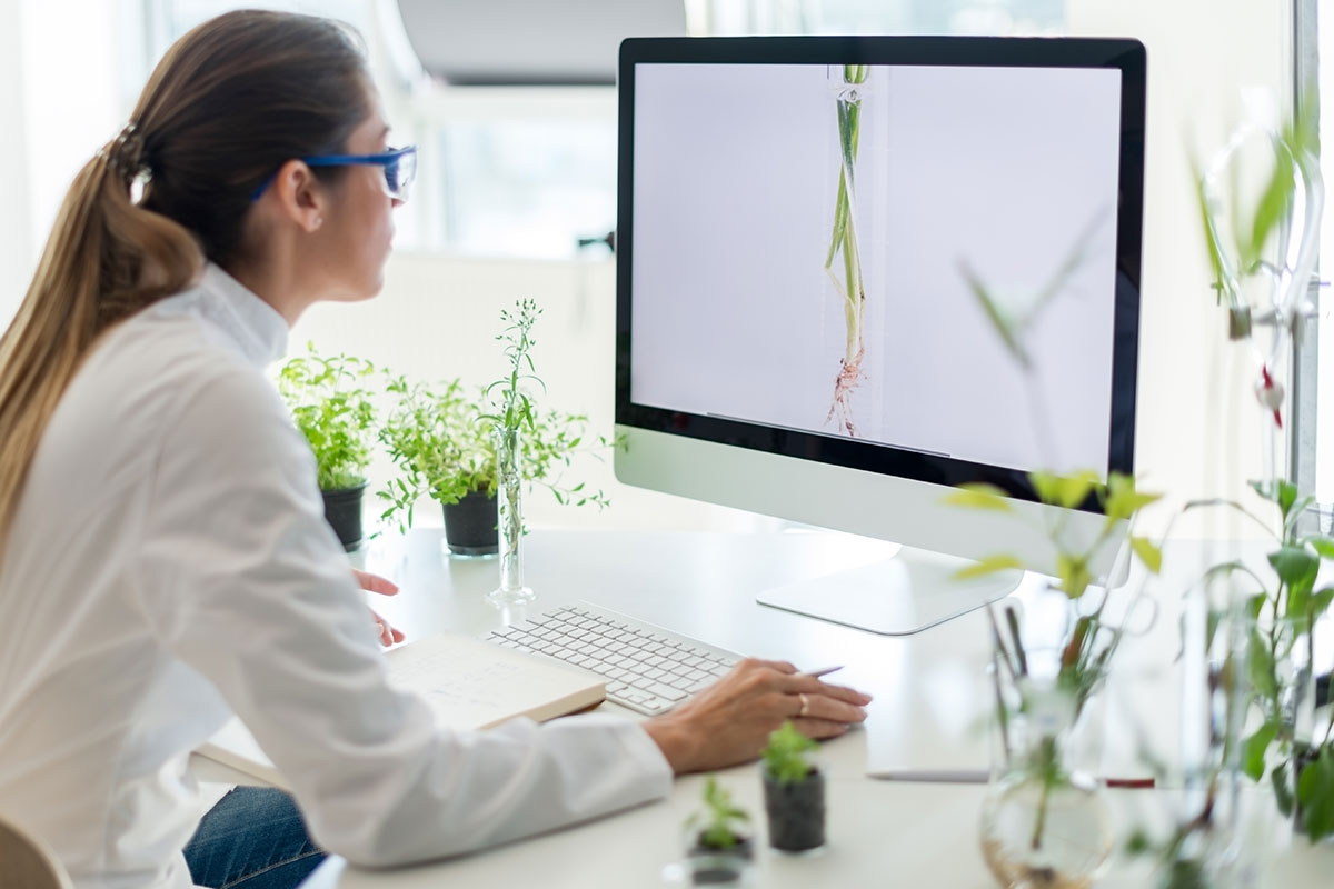 Scientist looking at a plant on a computer screen