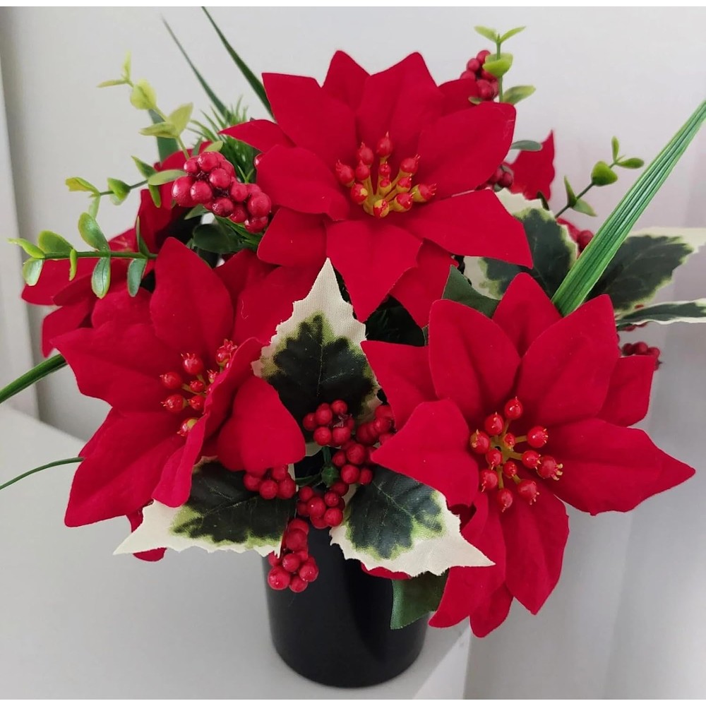 Mr. Barry's red poinsettia Christmas memorial flower pot (25cm)
