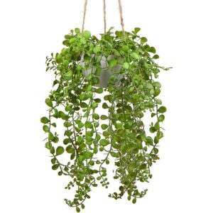 oairse artificial string-of-pearls plant in a hanging white pot (35cm)