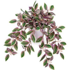 oairse pink artificial tradescantia in a white pot (45cm)
