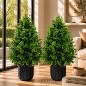 thkful eucalyptus topiary 70cm pair